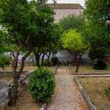 Attraversando il rigoglioso cortile tra agrumi, cycas e arbusti...
